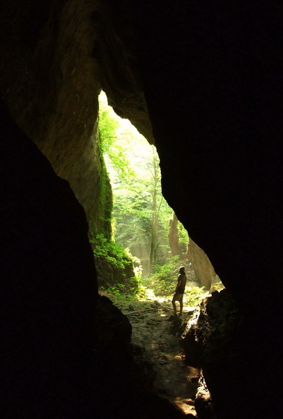 Portalul P. Sifoanelor - Foto: Cristi Davidovici